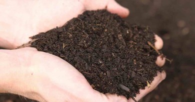 Compost