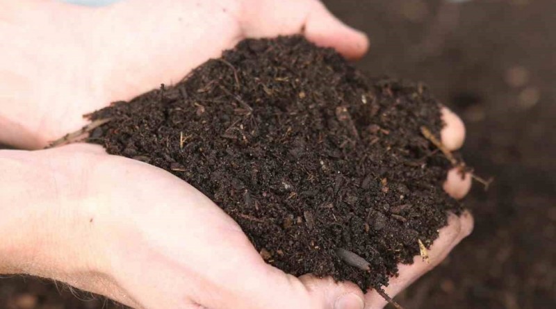 Compost