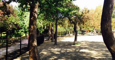 parc canin westmount