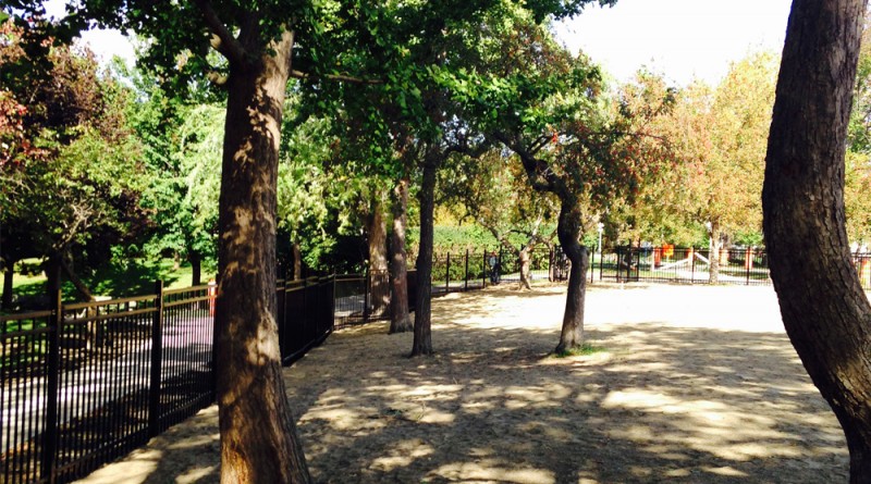 parc canin westmount