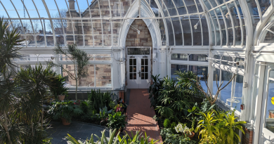 Conservatoire Westmount Conservatory
