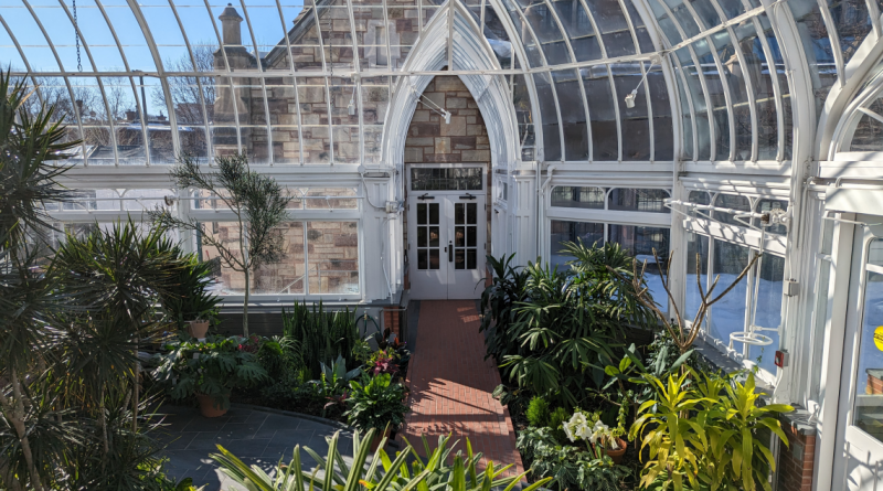 Conservatoire Westmount Conservatory